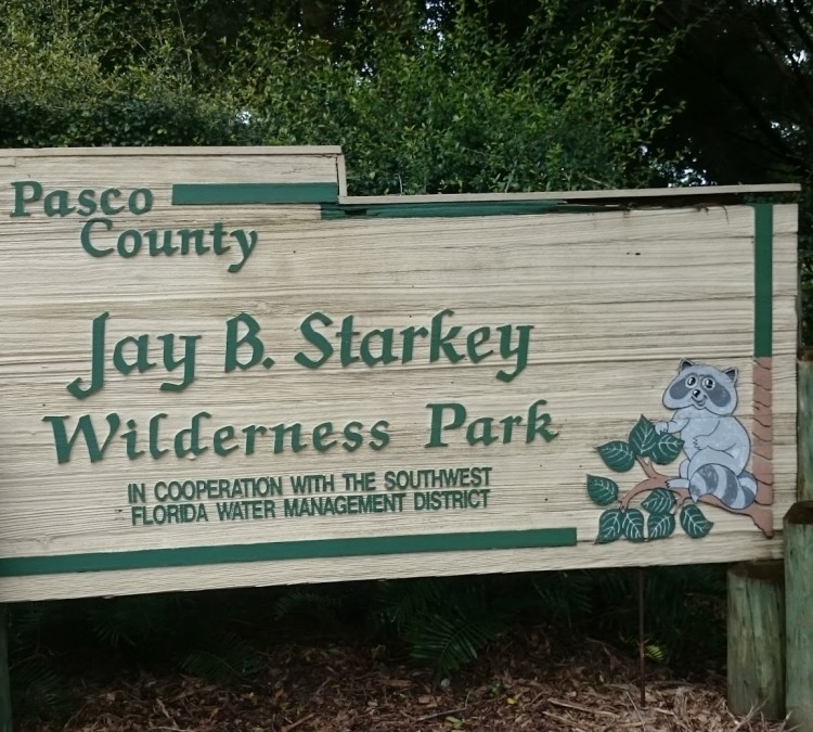 Jay B. Starkey Wilderness Park (New&nbspPort&nbspRichey,&nbspFL)